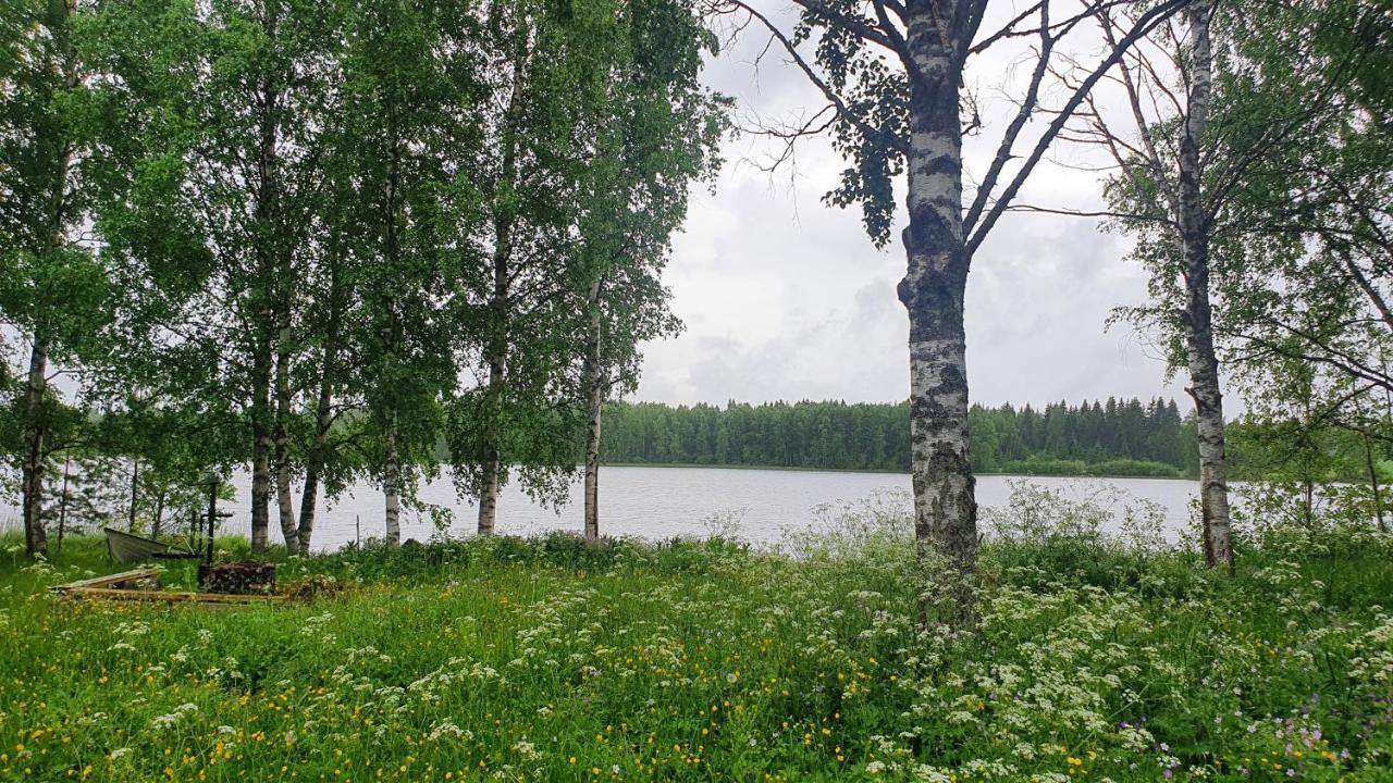 Viihtyisae Kolmio Jaerven Rannalla Haapavesi Екстериор снимка